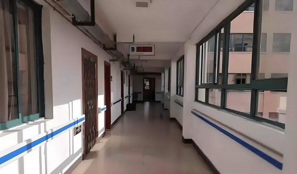 黑道傻后：王爷太霸道